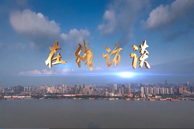 大力实施乡村振兴战略